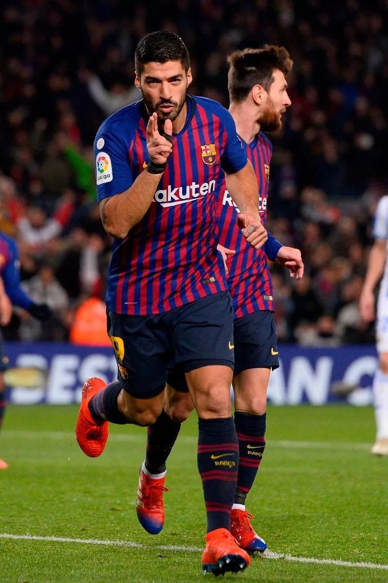 离谱！浙江队豪取连胜备战国王杯球探报告显示，蒂姆关键时刻高光表现的简单介绍